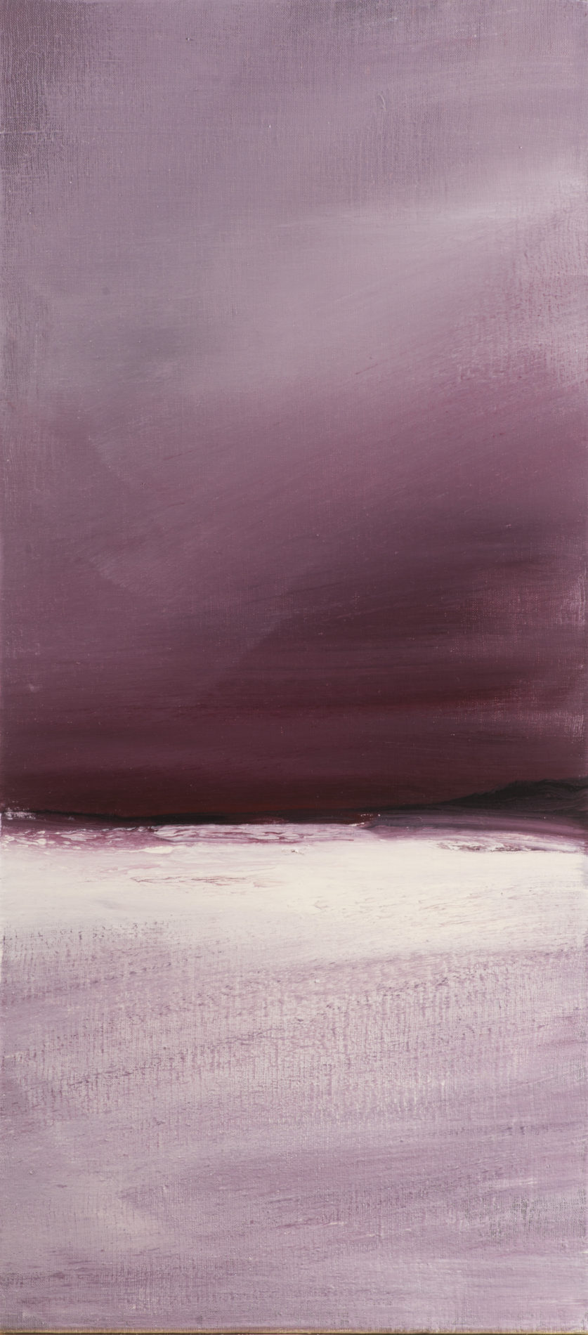 <b>č.I SÉRIE "NO LIMITS" </b><br>syntetická barva na plátně <br>90x40 cm